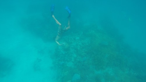 DCIM101GOPROG0341751.