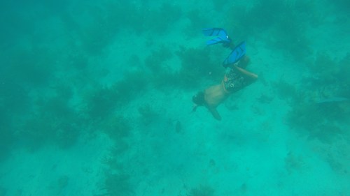 DCIM101GOPROG0341872.