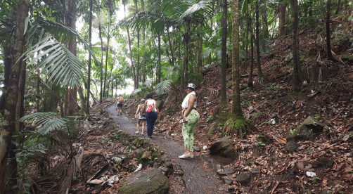 Screenshot_2015-07-16-21-01-02-1-1