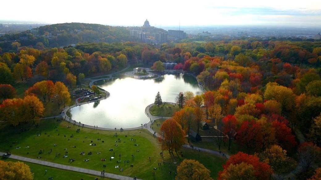 FB_IMG_1509070243766